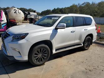 LEXUS GX 460 LUXURY