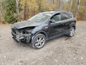 FORD ESCAPE SEL