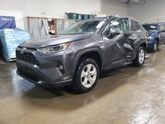 TOYOTA RAV4 XLE