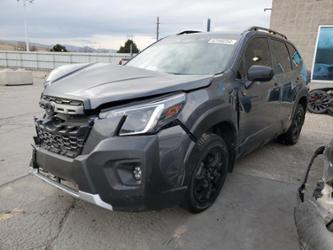 SUBARU FORESTER WILDERNESS