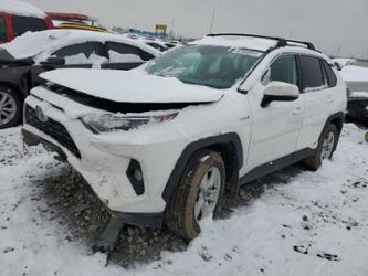 TOYOTA RAV4 XLE