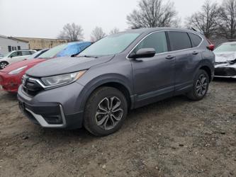 HONDA CR-V EX