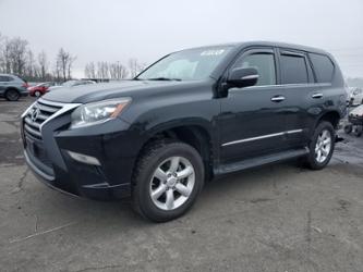 LEXUS GX 460