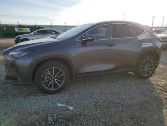 LEXUS NX 350H BASE