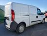 RAM PROMASTER