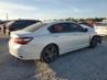 HONDA ACCORD SPORT SPECIAL EDITION