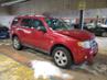 FORD ESCAPE XLT