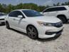 HONDA ACCORD SPORT SPECIAL EDITION