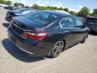 HONDA ACCORD SPORT SPECIAL EDITION