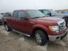 FORD F-150 SUPER CAB