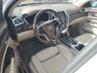 CADILLAC SRX PERFORMANCE COLLECTION