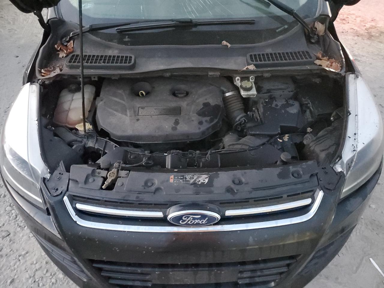 FORD ESCAPE TITANIUM