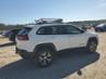 JEEP CHEROKEE TRAILHAWK