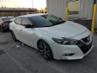 NISSAN MAXIMA 3.5S