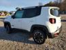 JEEP RENEGADE TRAILHAWK