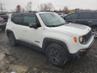 JEEP RENEGADE TRAILHAWK