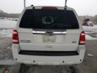 FORD ESCAPE LIMITED