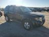 FORD ESCAPE XLS