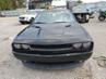 DODGE CHALLENGER SXT