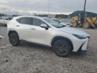 LEXUS NX 250 PREMIUM