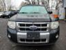 FORD ESCAPE LIMITED