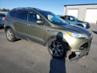 FORD ESCAPE SEL