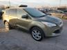 FORD ESCAPE SEL