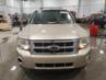 FORD ESCAPE XLT