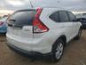 HONDA CR-V EXL