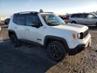 JEEP RENEGADE TRAILHAWK