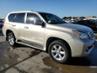 LEXUS GX 460