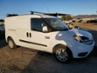 RAM PROMASTER SLT