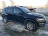 JEEP COMPASS SPORT