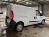 RAM PROMASTER