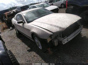 FORD MUSTANG V6