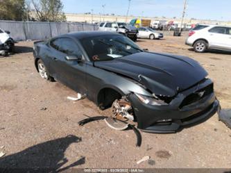 FORD MUSTANG V6