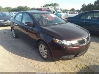 KIA FORTE EX