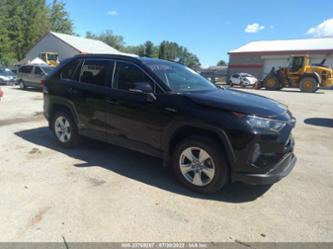 TOYOTA RAV4 HYBRID LE HYBRID