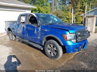 FORD F-150 FX4