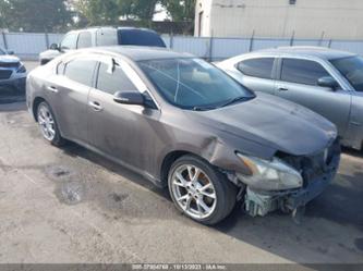 NISSAN MAXIMA 3.5 SV