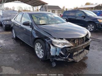 TOYOTA CAMRY HYBRID XLE