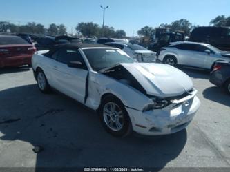 FORD MUSTANG V6