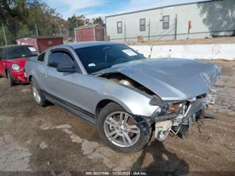 FORD MUSTANG V6