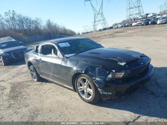 FORD MUSTANG V6/V6 PREMIUM