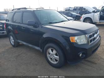 FORD ESCAPE XLT