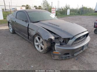 FORD MUSTANG GT