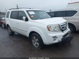 HONDA PILOT EX