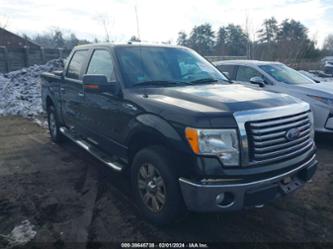 FORD F-150 FX4/HARLEY-DAVIDSON/LARIAT/XL/XLT