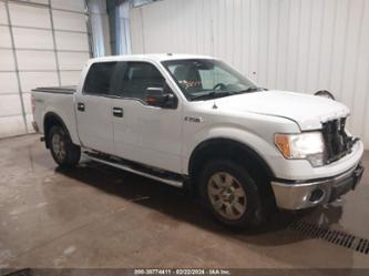 FORD F-150 XLT