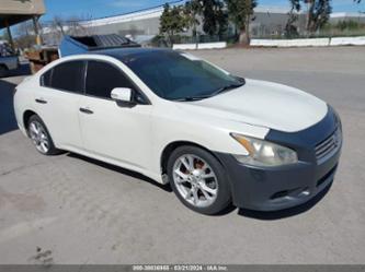 NISSAN MAXIMA 3.5 SV